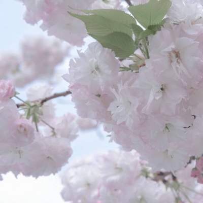 兽设四季场景绘制兽圈群